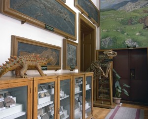 muzeu paleontologie 2